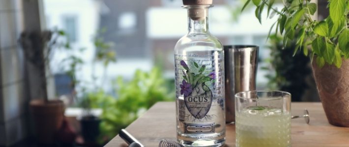 Gin des Monats Mai: Ocus Gin Gin des Monats Mai: Ocus Gin